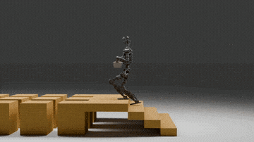 parallel simulation world, basket 5kg